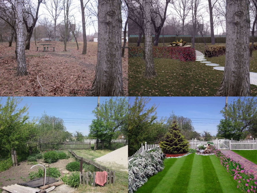 Поменяться садами. Озеленение до и после. Сад до и после. Ландшафт до и после. Ландшафтный дизайн до и после.