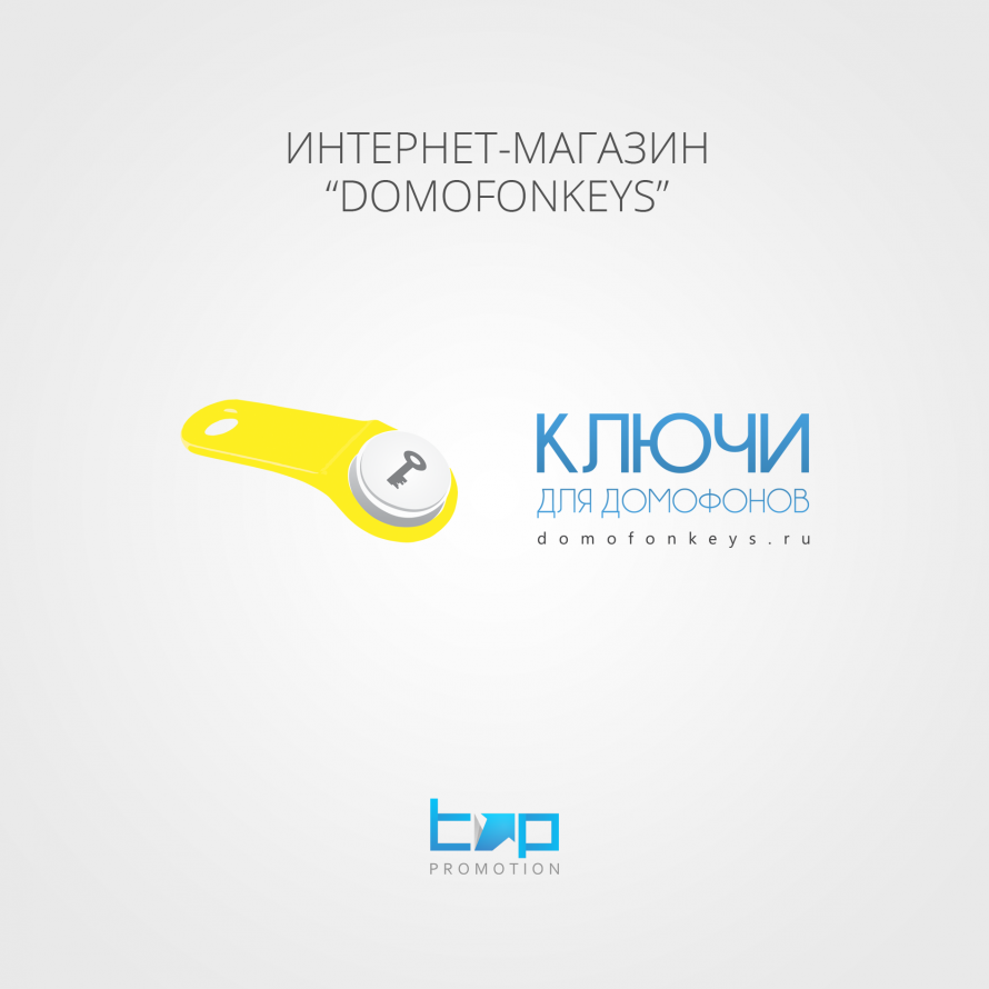 Разработка логотипа domofonkeys.ru