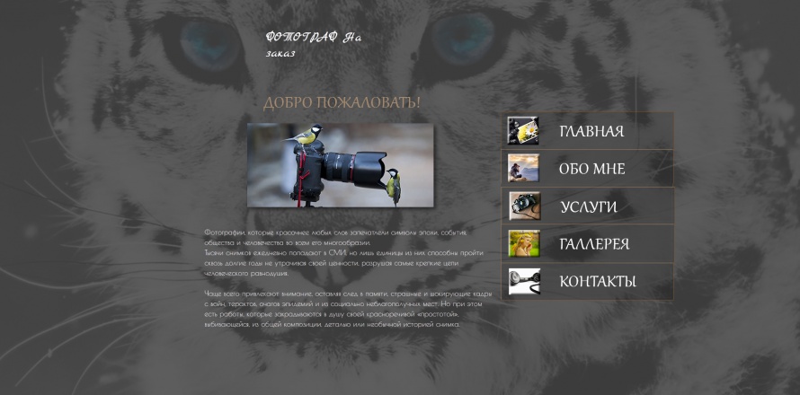 Сайт-визитка под ключ за 1 день от 1890 рублей!