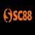 s-ava